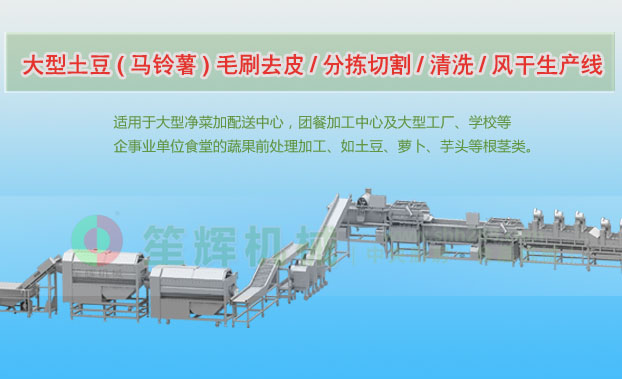 从江连续式土豆去皮清洗切割风干生产线